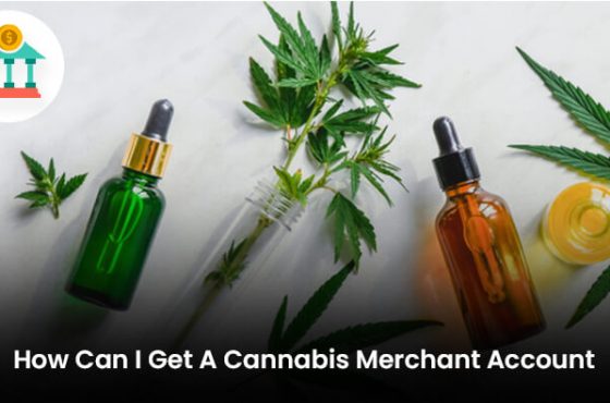 How Can I Get A Cannabis Merchant Account